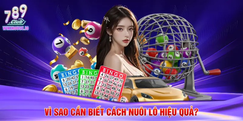Vì sao cần biết cách nuôi lô hiệu quả?